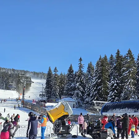 Lyra Prestige Hill Kopaonik