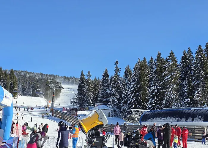 Lyra Prestige Hill Kopaonik