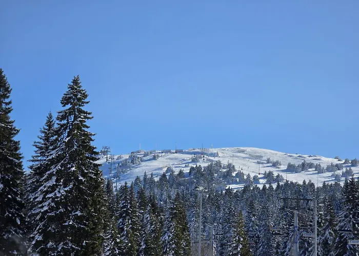 Lyra Prestige Hill Lejlighed