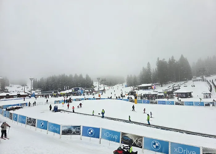 Lyra Prestige Hill Lejlighed *