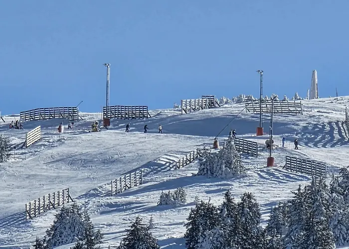 Lyra Prestige Hill * Κοπαόνικ